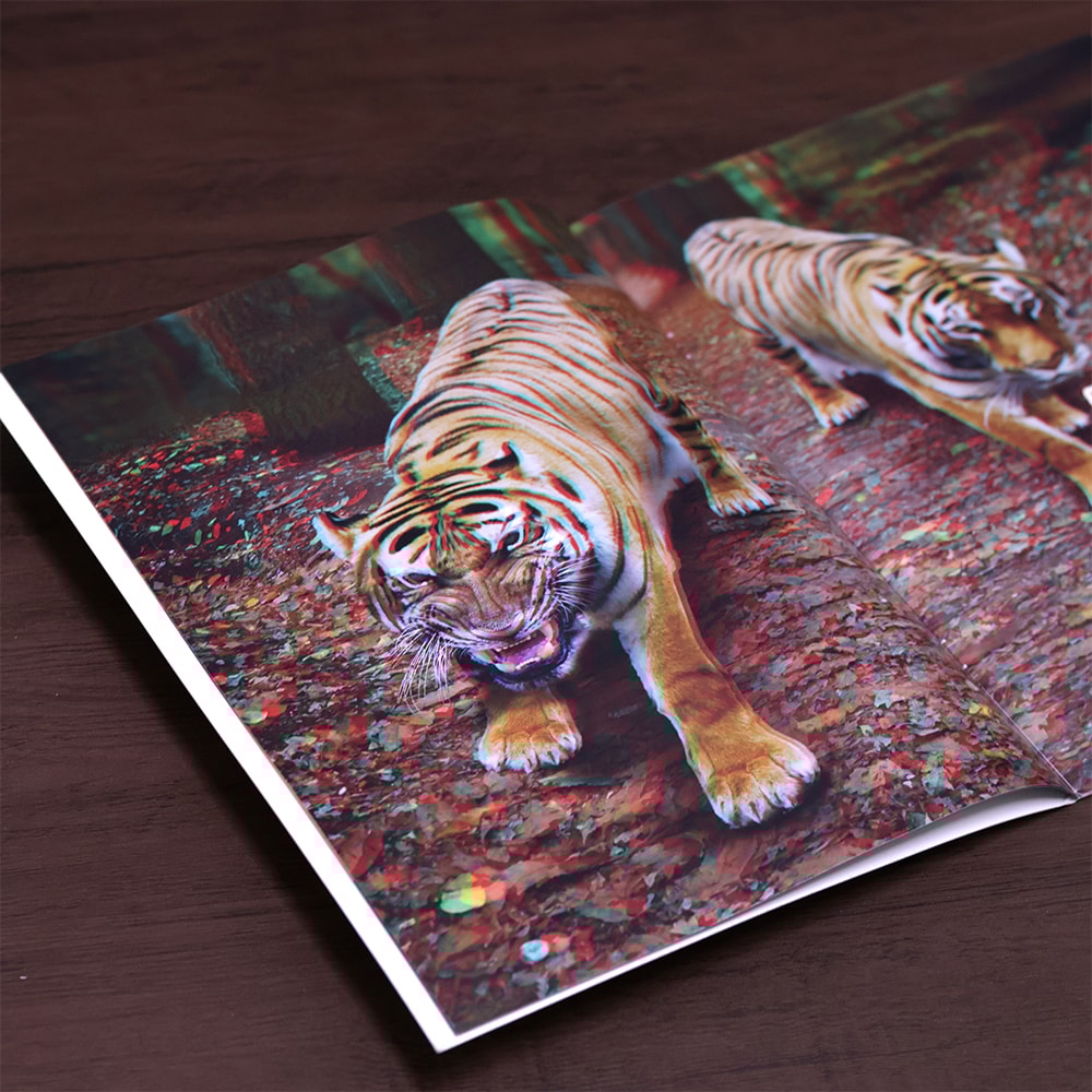Animais Selvagens | 3-D | 3 Anos