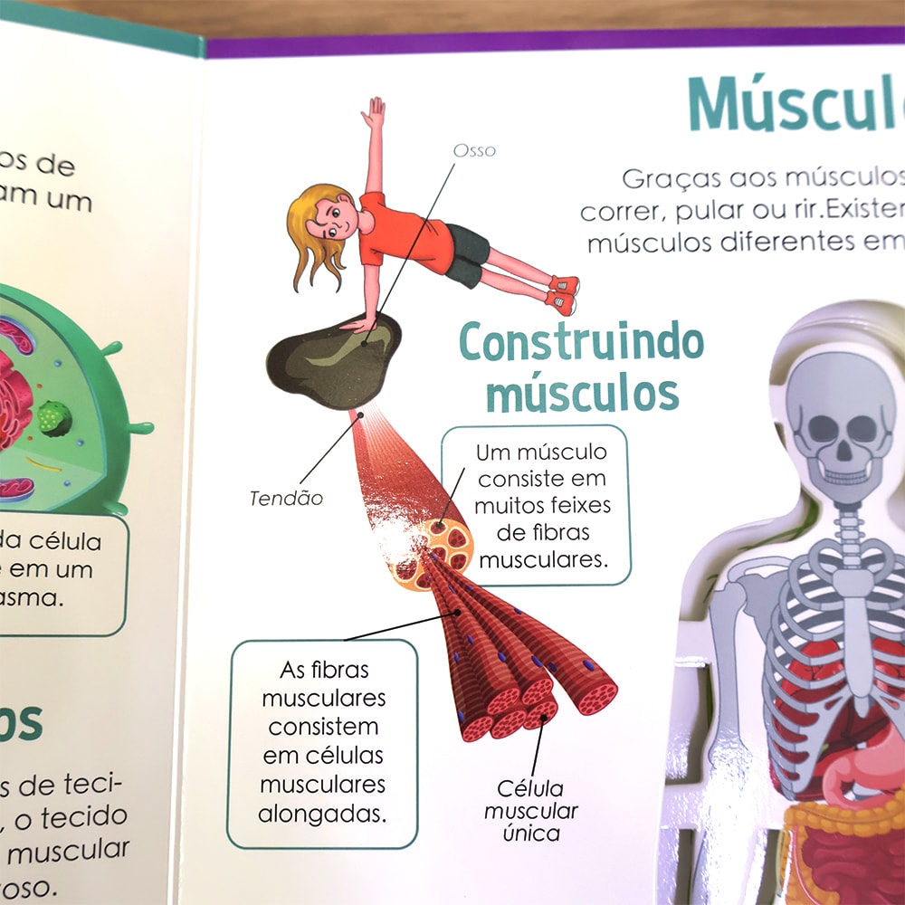 Como Funciona? | Nosso Corpo | Inclui QR Codes Interativos