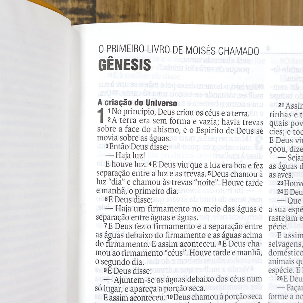 Bíblia Sagrada | NAA | Letra Normal | Capa Couro Legítimo Açafrão