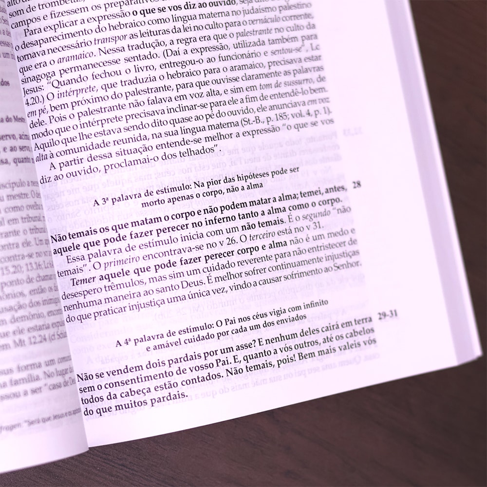 Comentário Evangelho de Mateus |
Fritz Rienecker