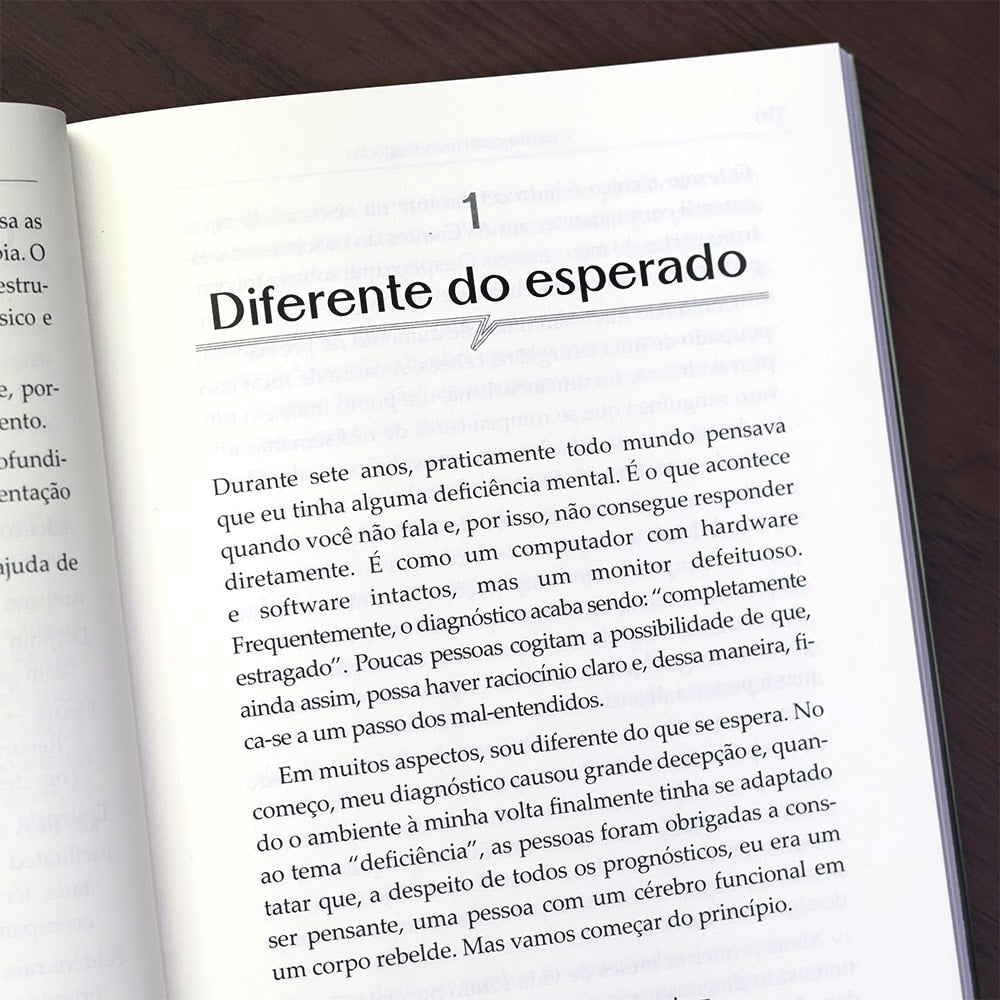 Voando com Asas Rasgadas |
Raphael Müller
