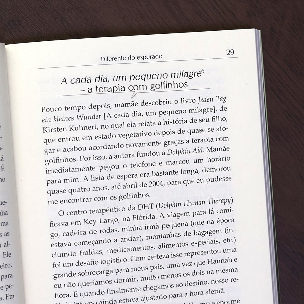 Voando com Asas Rasgadas |
Raphael Müller