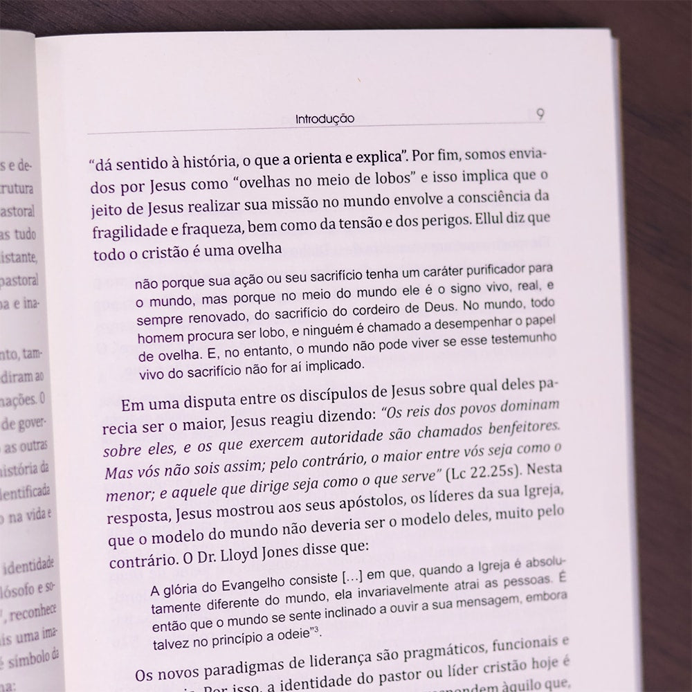 Nova Liderança |
Ricardo Barbosa de Souza e Valdir R Steuernagel