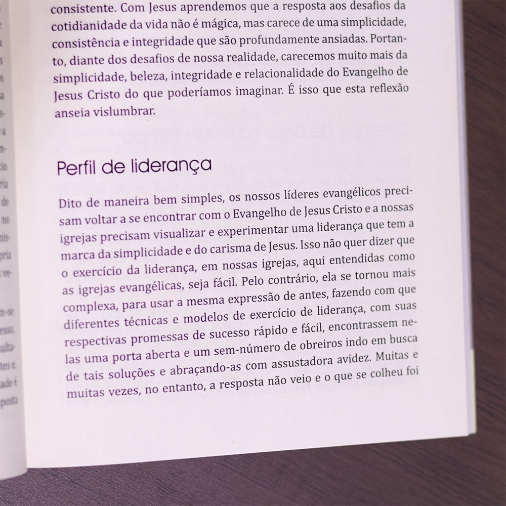 Nova Liderança |
Ricardo Barbosa de Souza e Valdir R Steuernagel