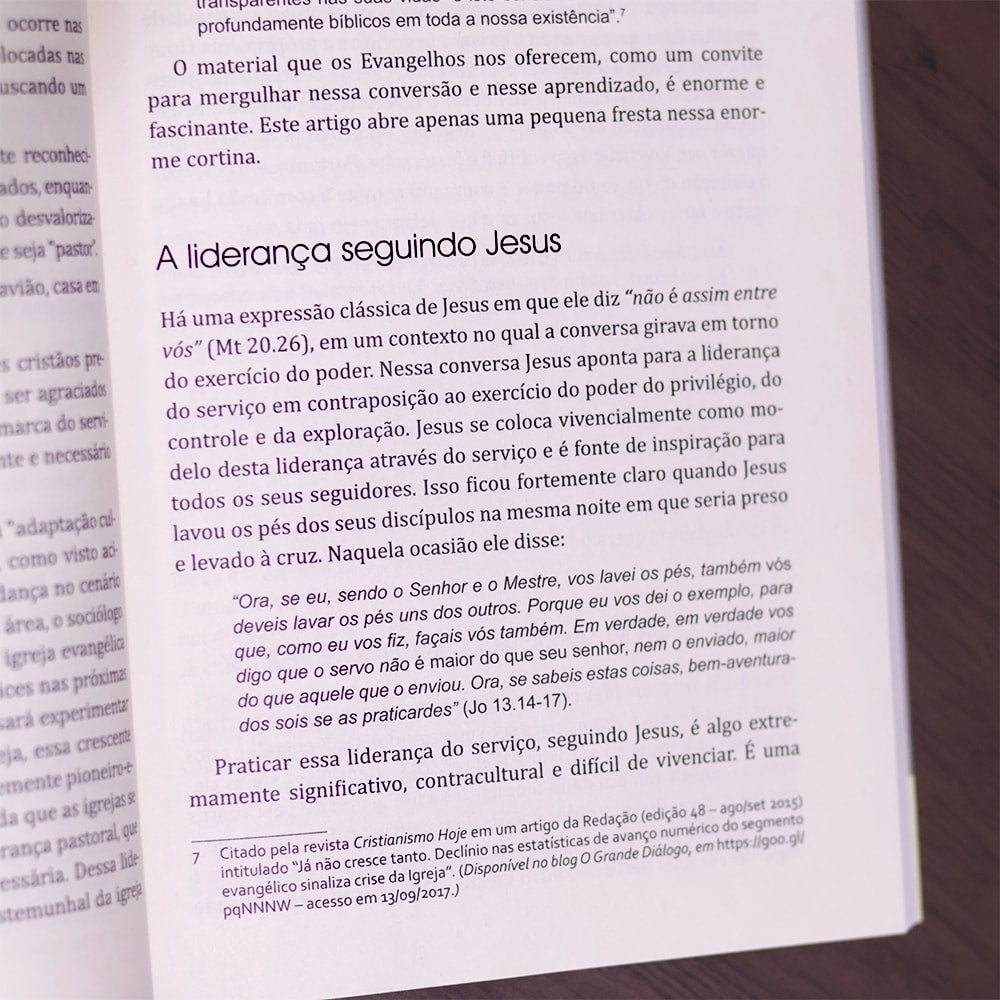 Nova Liderança |
Ricardo Barbosa de Souza e Valdir R Steuernagel