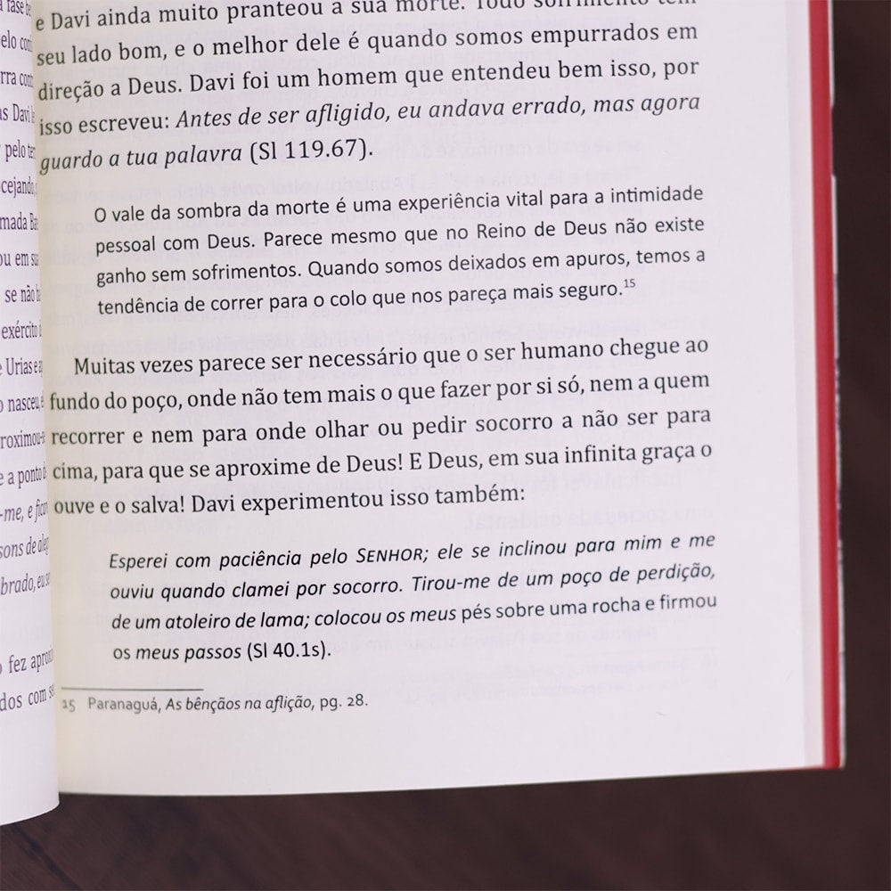 O Lado B do Sofrimento | Fernando Lyra