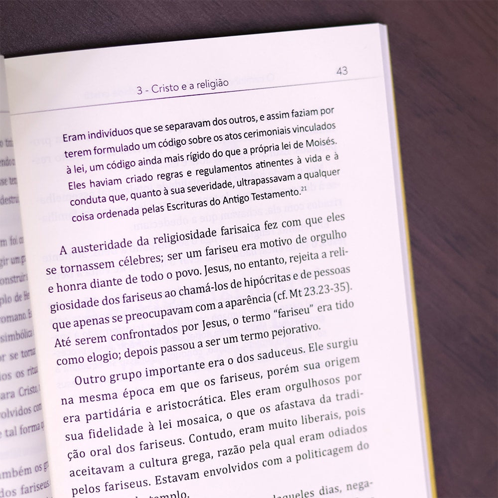 O Caminho Bíblico da Espiritualidade Cristã
| José Carlos Pezini e Luis Alexandre R Branco