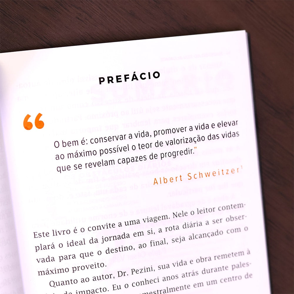 Sucesso Ao Seu Alcance
| José Carlos Pezini