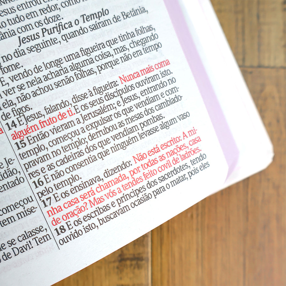 Bíblia Floral Rosa | ARC | Letra Gigante | Capa Dura | Harpa Avivada e Corinhos