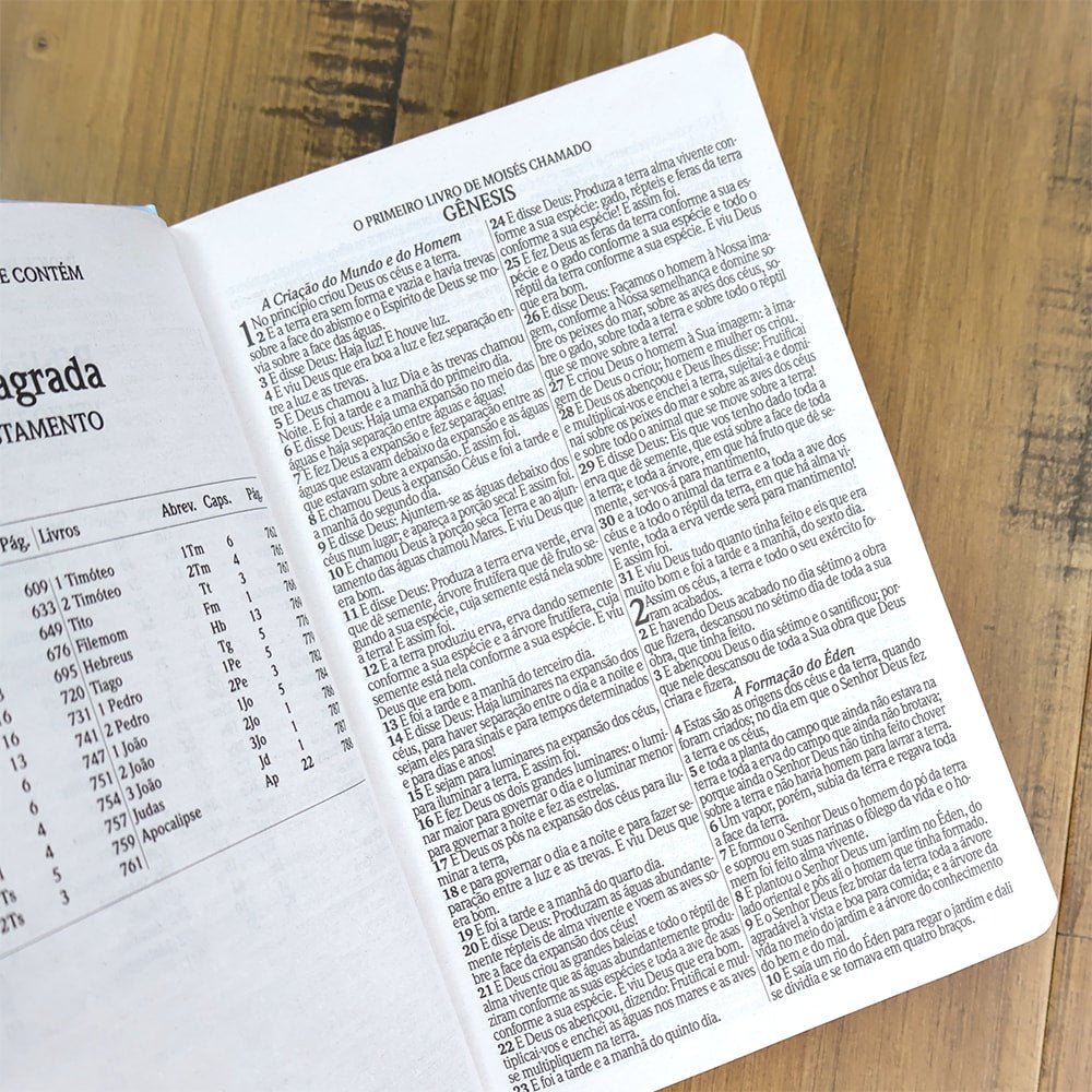 Bíblia Botão de Rosa | ARC | Letra Grande | Capa Dura | Harpa Avivada e Corinhos