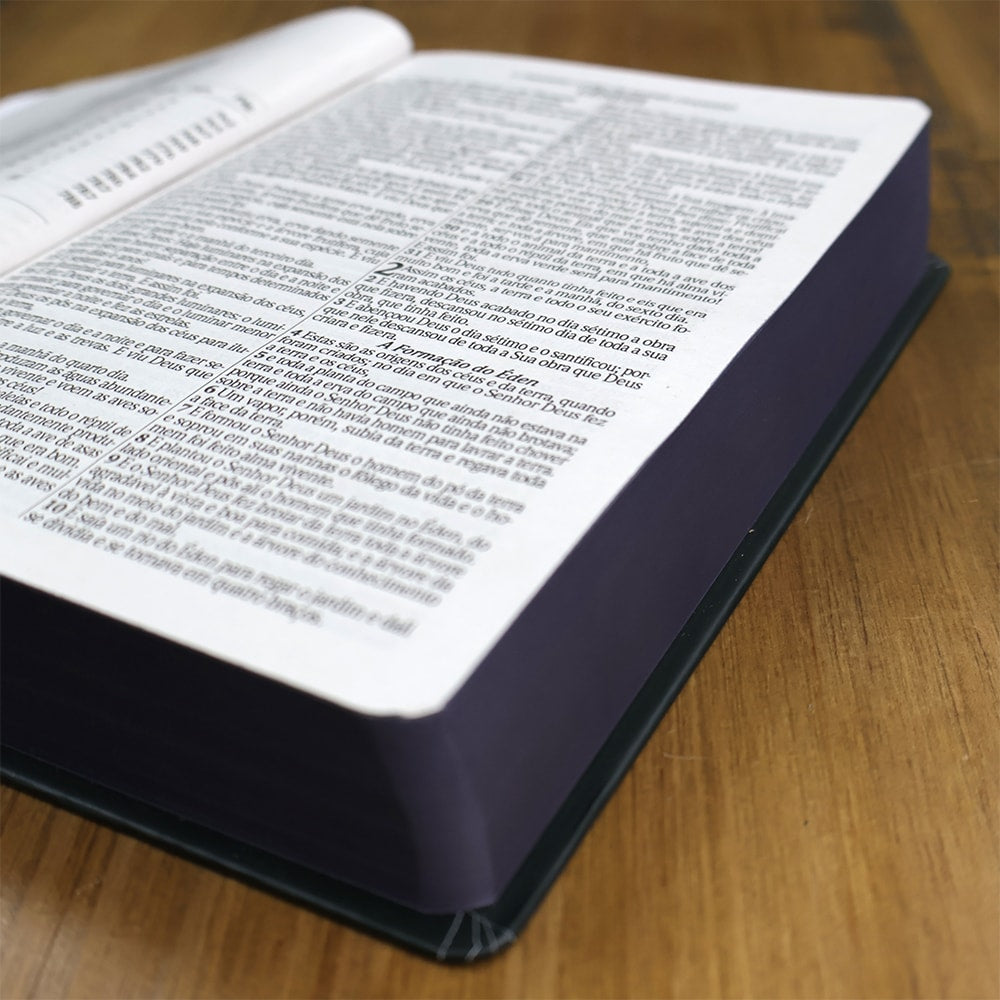 Bíblia Sagrada Bom Pastor | ARC | Letra Grande| Capa Dura | Harpa Avivada e Corinhos