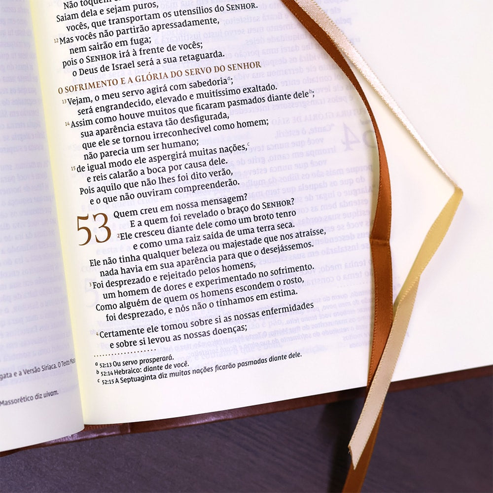 Bíblia Bible Journaling | NVI | Letra Normal | Courosoft Marrom