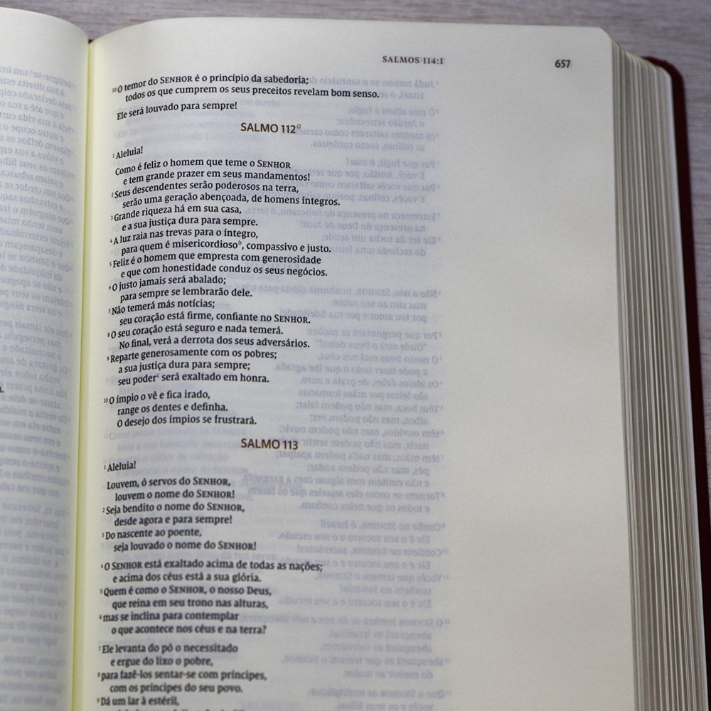 Bíblia Bible Journaling | NVI | Letra Normal | Capa Dura Vinho | Com Espaço Para Anotações