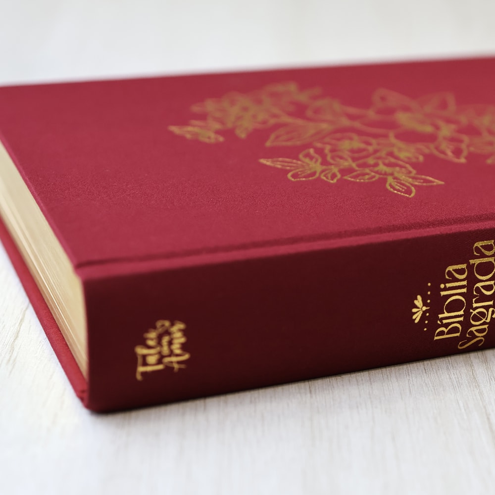 Bíblia Bible Journaling | NVI | Letra Normal | Capa Dura Vinho | Com Espaço Para Anotações