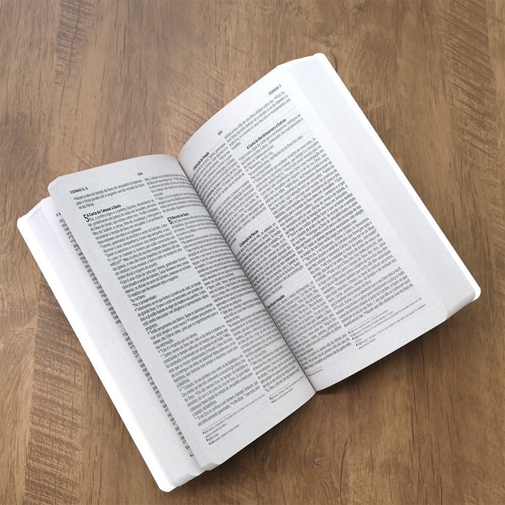 Bíblia Sagrada | ACF | Letra Normal | Capa Luxo Rosê