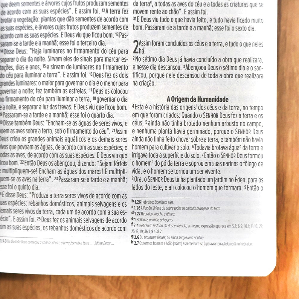 Bíblia Sagrada Salvos Pela Graça | NVI | Letra Normal | Capa Brochura