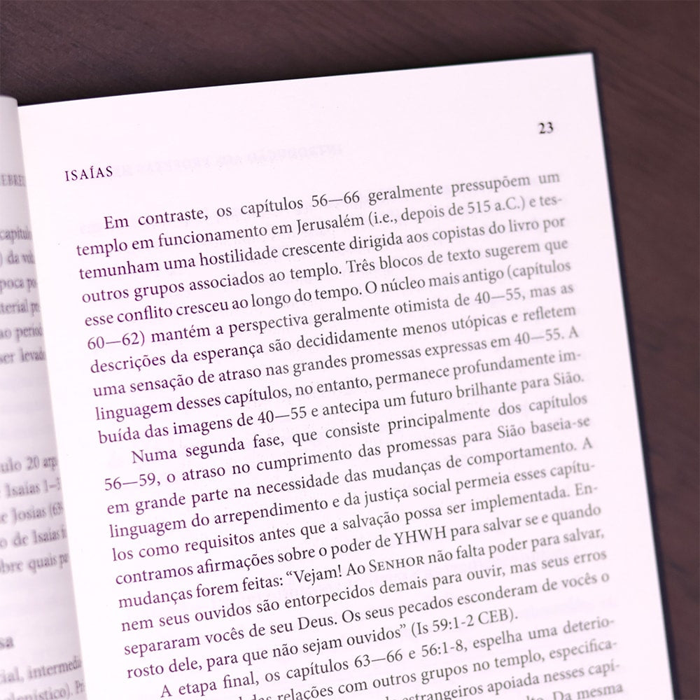 Introdução Aos Profetas Hebreus
| James Nogalski