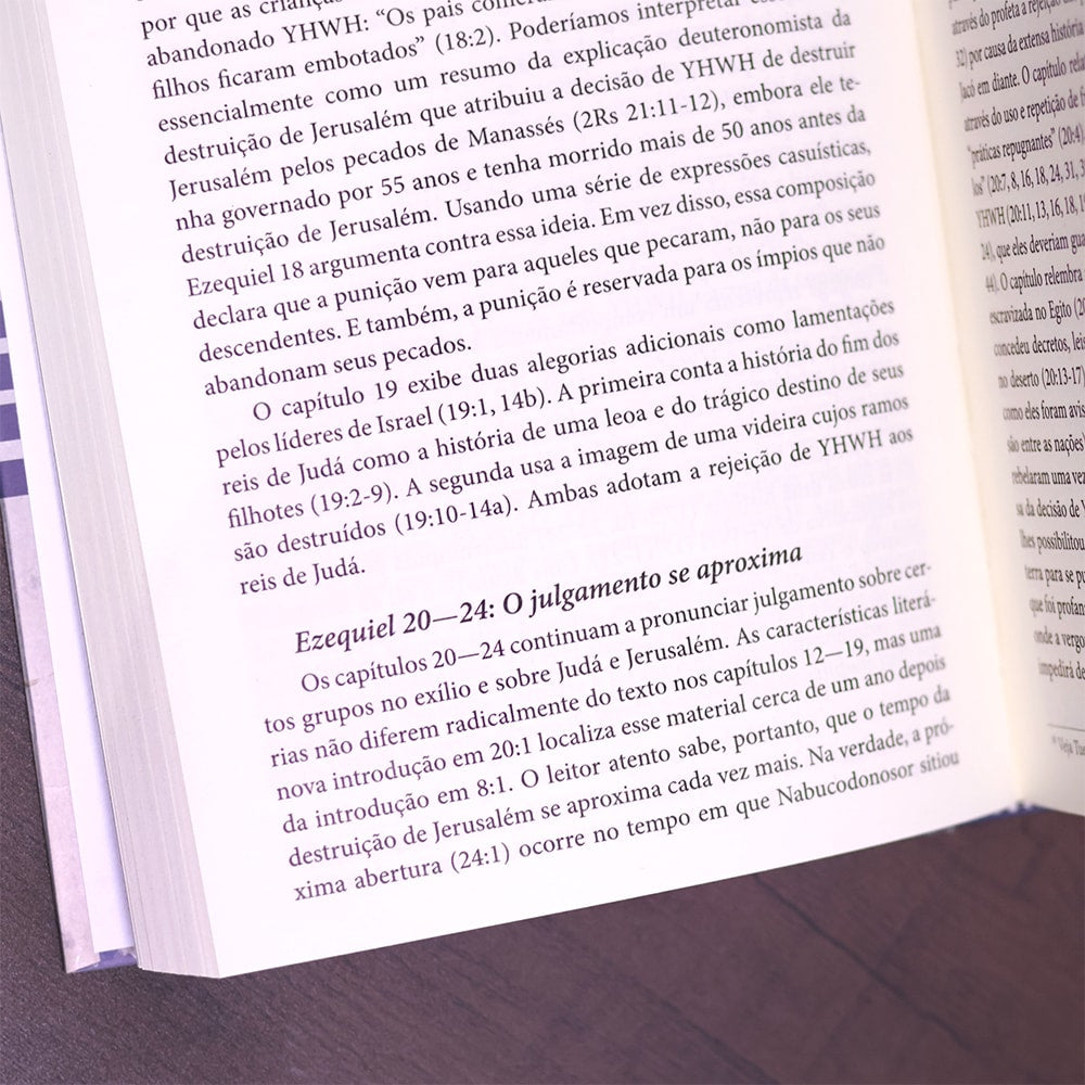 Introdução Aos Profetas Hebreus
| James Nogalski