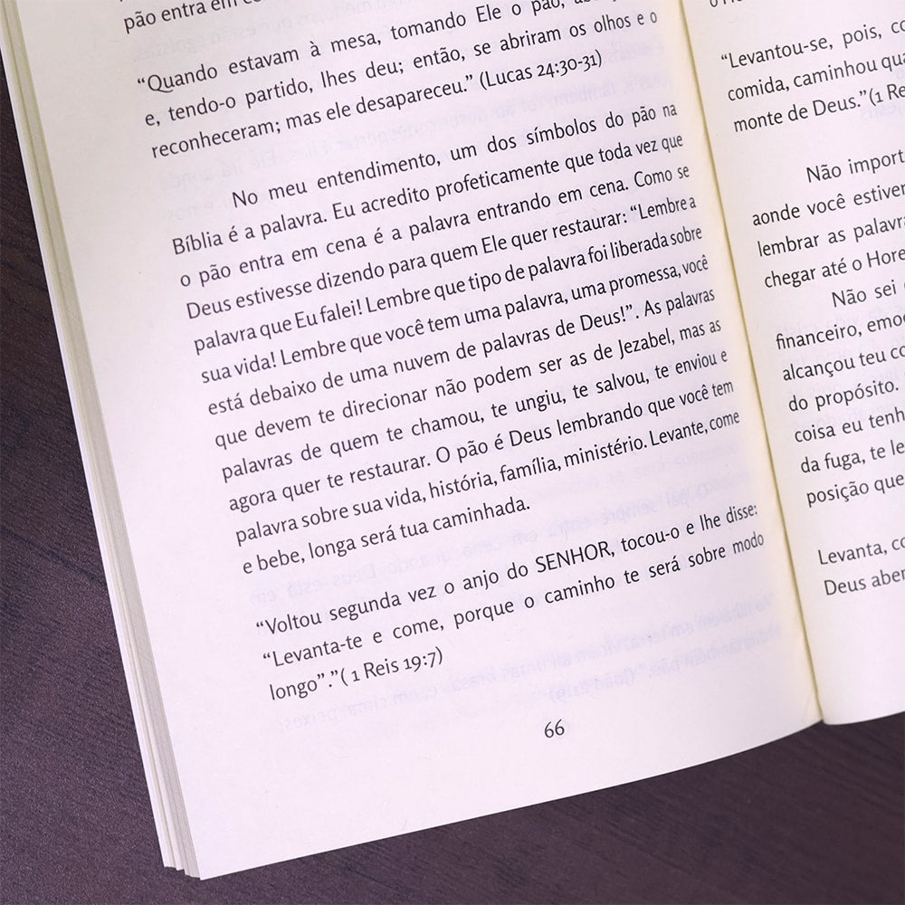 Faíscas Do Secreto |
Kleber De Jesus