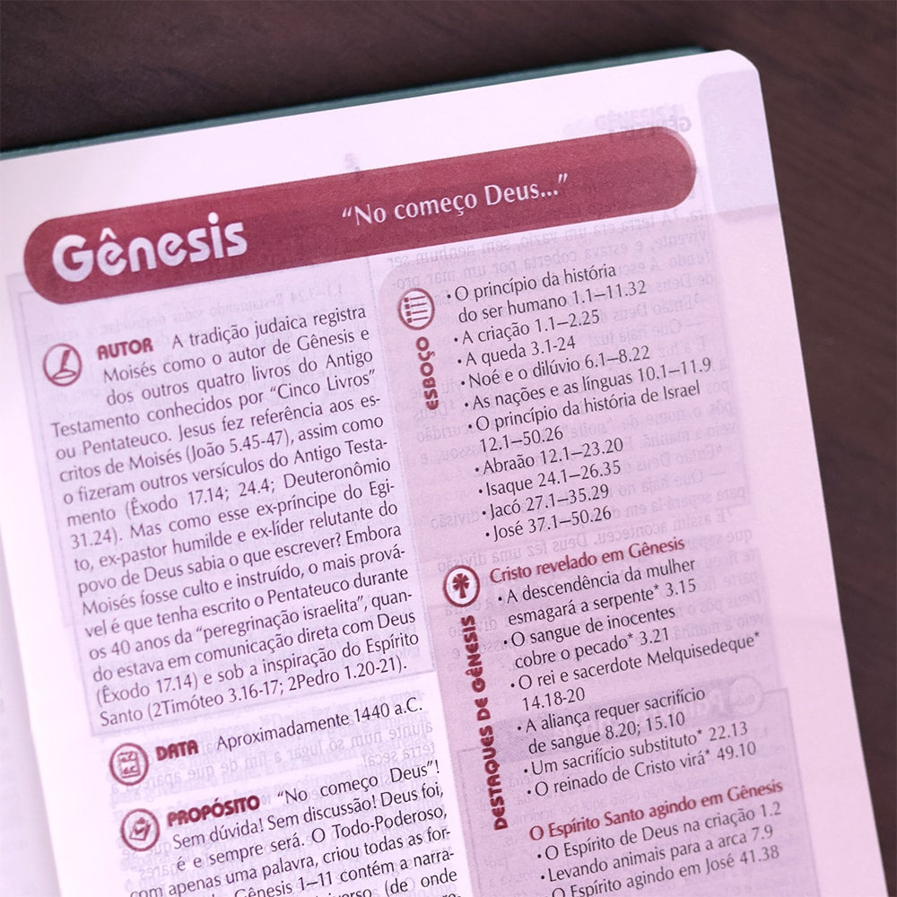 Bíblia de Estudo Plenitude Para Jovens | Letra Normal | NTLH | Capa Dura Verde Brilho