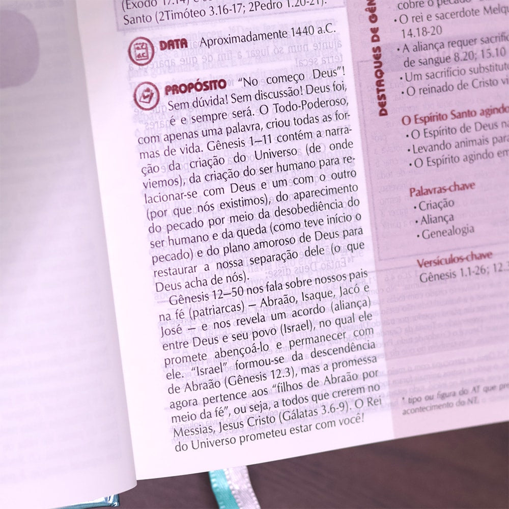 Bíblia de Estudo Plenitude Para Jovens | Letra Normal | NTLH | Capa Dura Verde Brilho