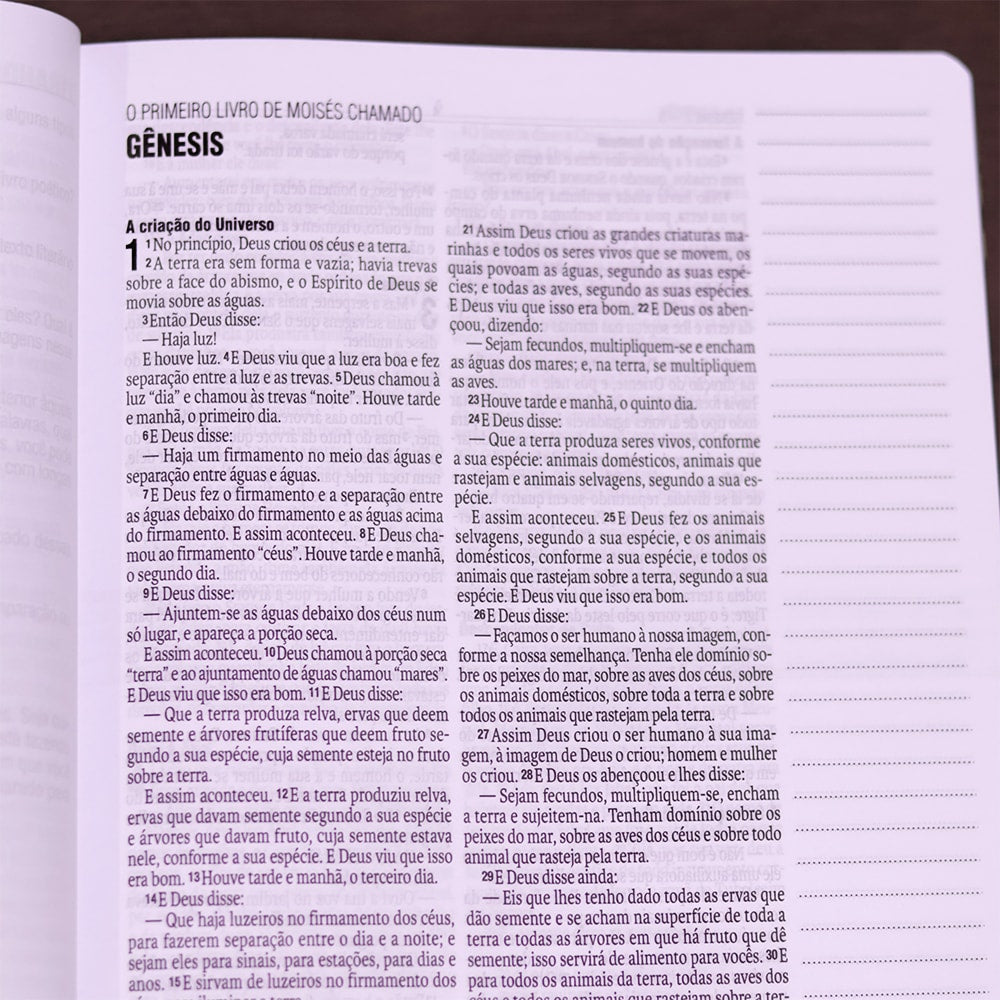 Bíblia Sagrada Grande Deus| NAA | Letra Grande | Capa Dura Jornada