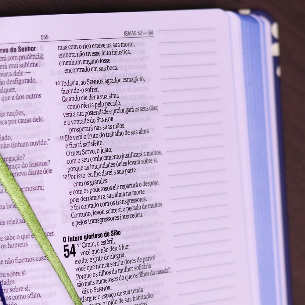 Bíblia Sagrada Grande Deus| NAA | Letra Grande | Capa Dura Jornada