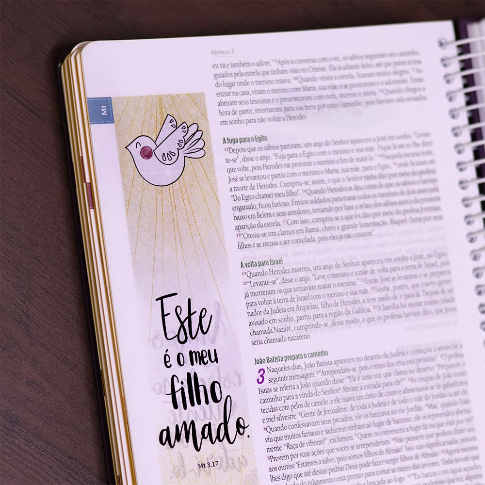 Bíblia Anote Gratidão | NVT | Letra Grande | Capa Dura