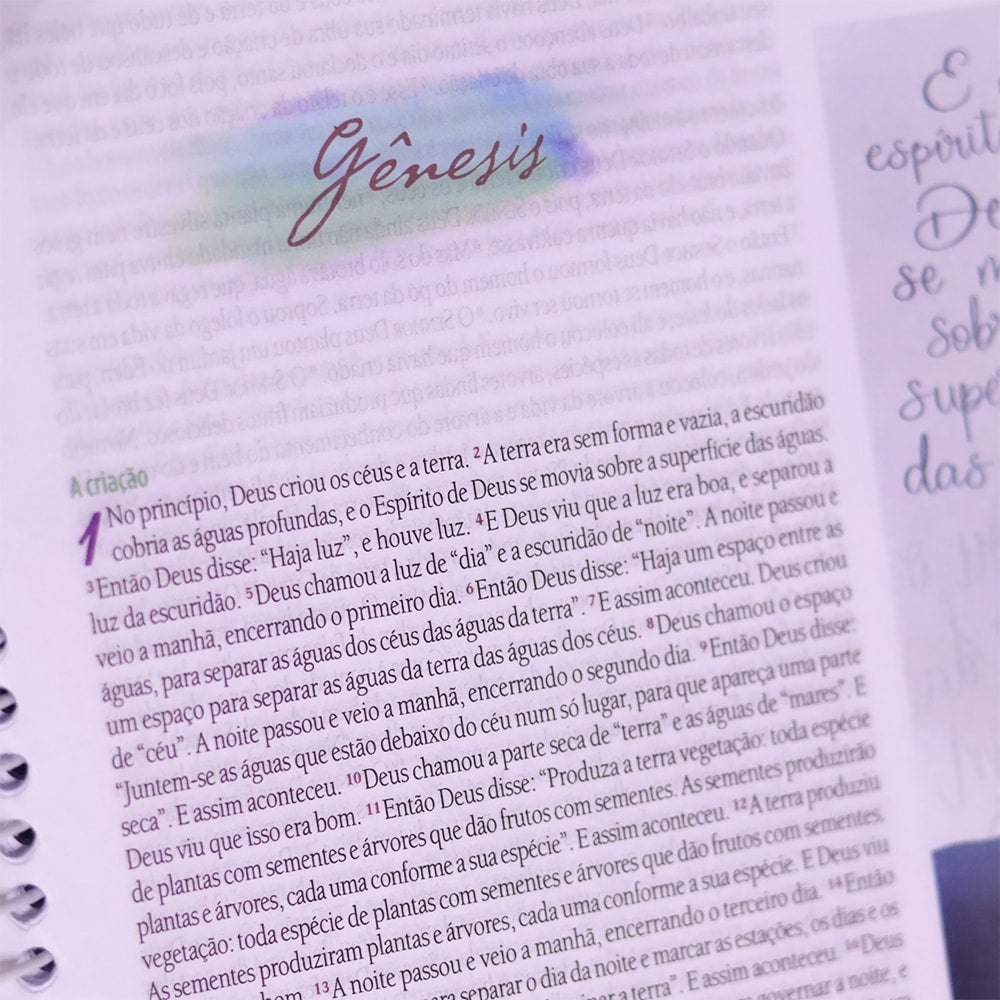 Bíblia Anote Gratidão | NVT | Letra Grande | Capa Dura