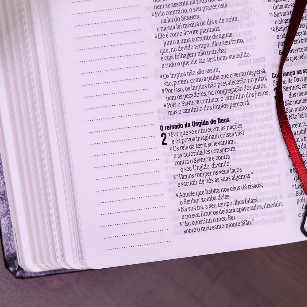 Bíblia Sagrada Cruz | NAA | Letra Grande | Capa luxo Preta