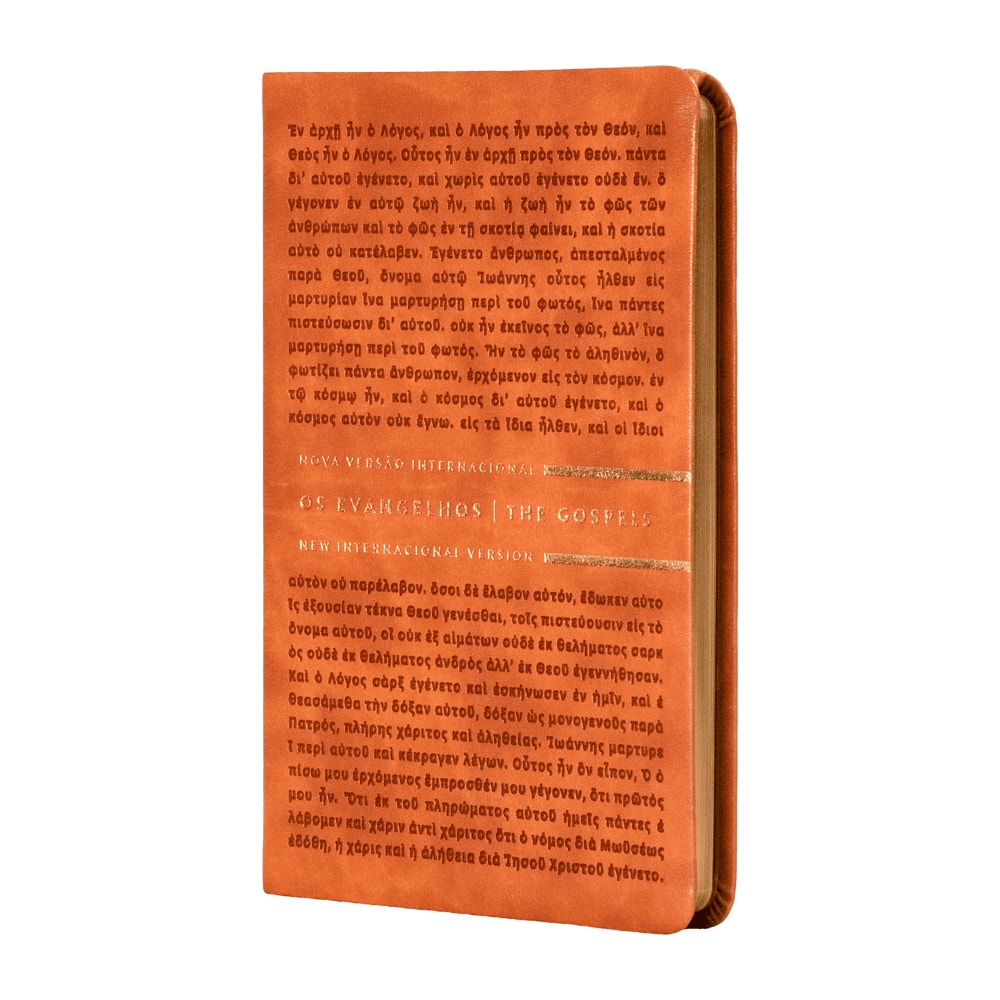 Os Evangelhos | Bilíngue | NVI | Letra Grande | Capa Flexível