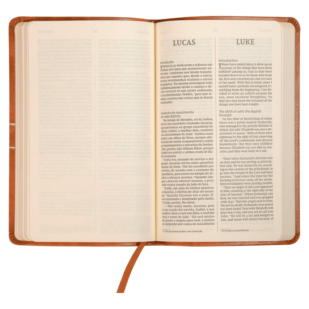 Os Evangelhos | Bilíngue | NVI | Letra Grande | Capa Flexível