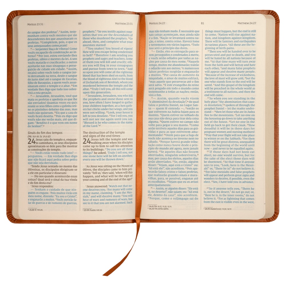 Os Evangelhos | Bilíngue | NVI | Letra Grande | Capa Flexível