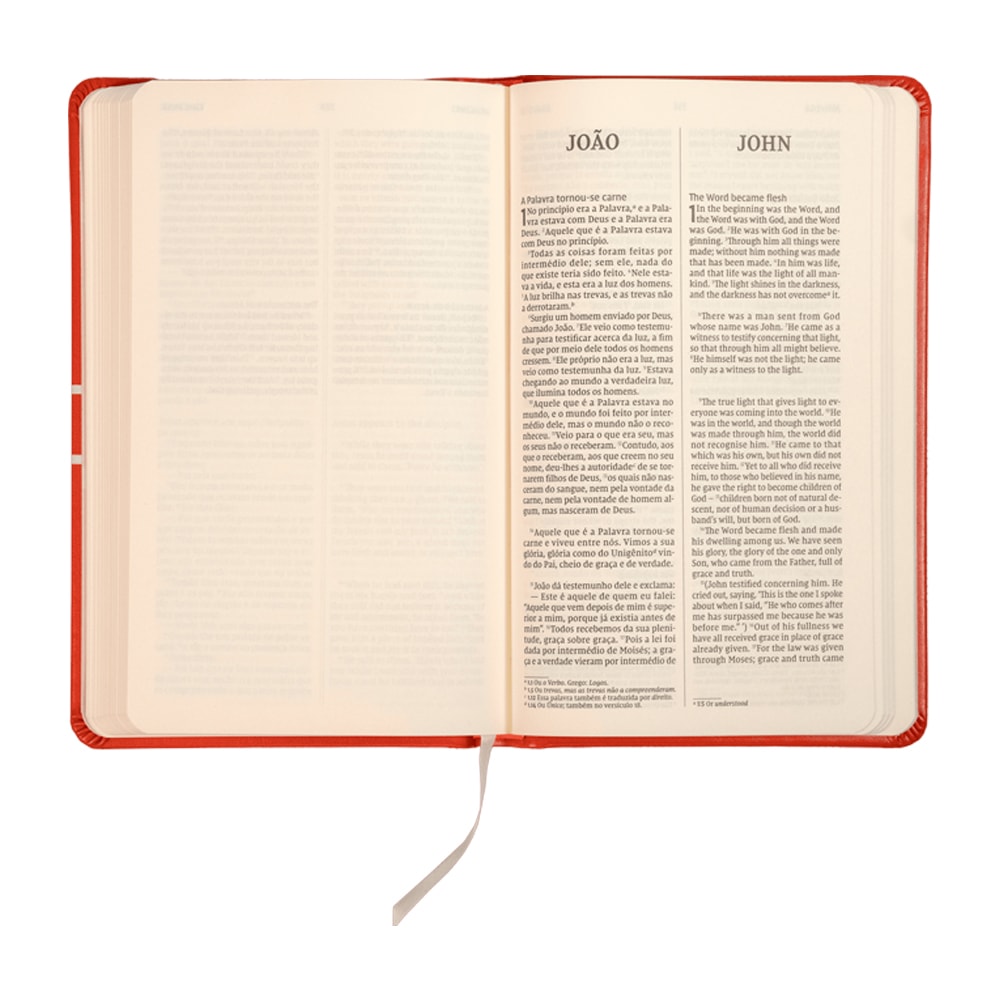 Os Evangelhos | Bilíngue | NVI | Letra Grande | Capa Dura