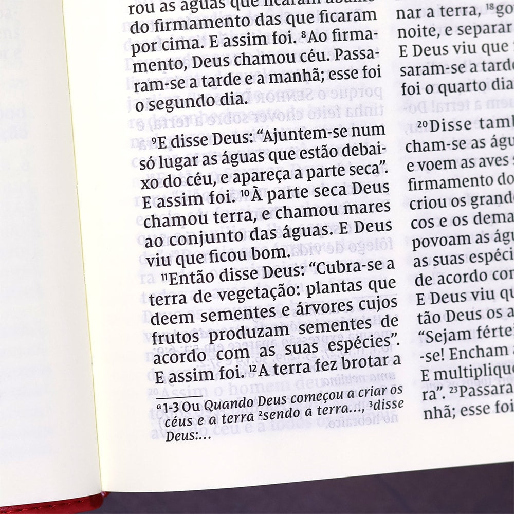 Bíblia Sagrada | NVI | Leitura Perfeita | Capa Couro Soft Rosado