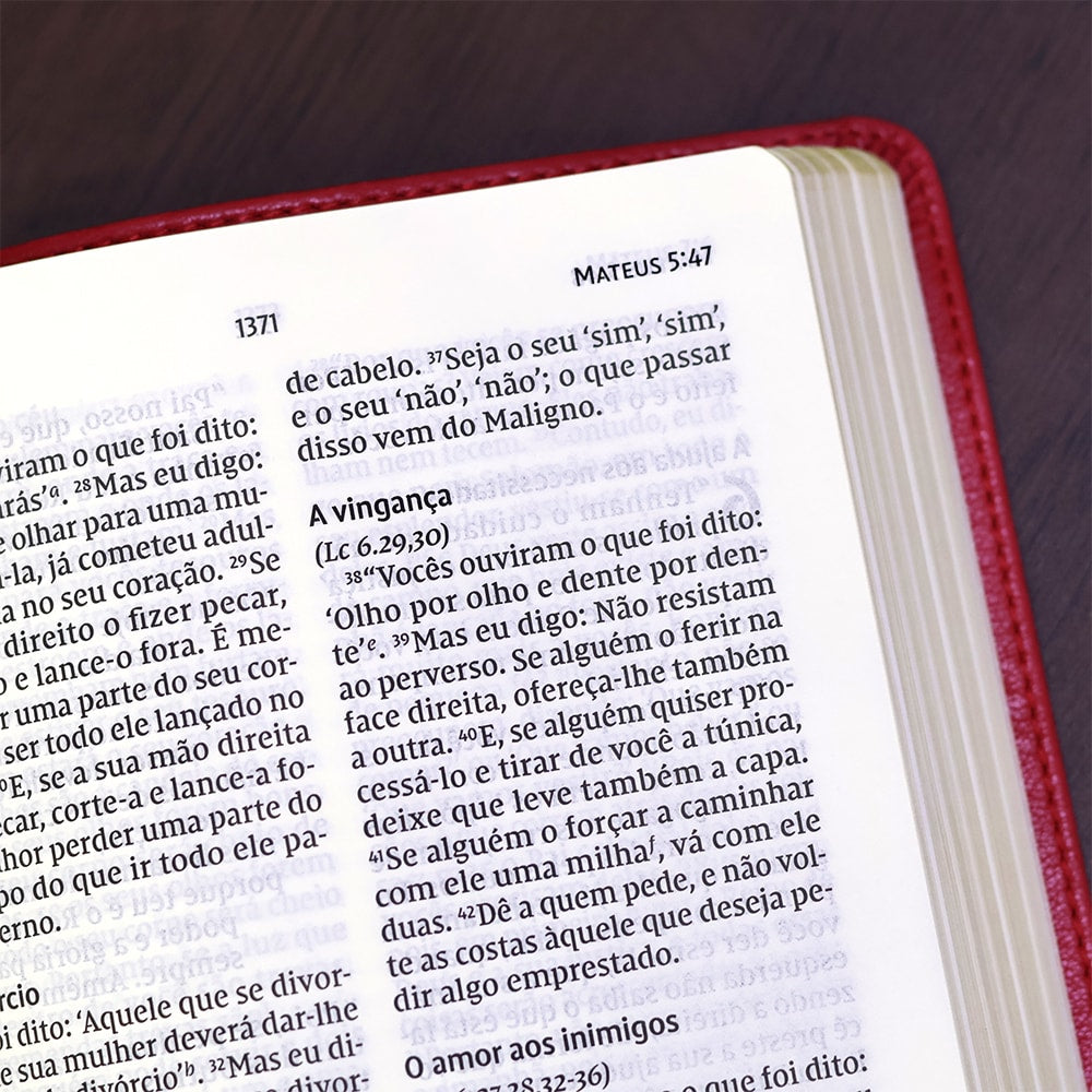 Bíblia Sagrada | NVI | Leitura Perfeita | Capa Couro Soft Rosado
