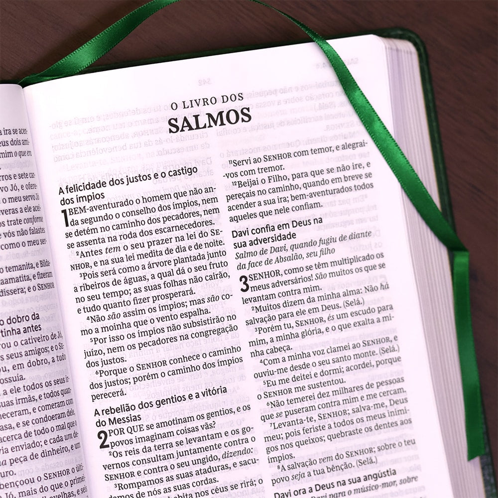 Bíblia Sagrada | ACF | Leitura Perfeita | Capa Couro Soft Verde