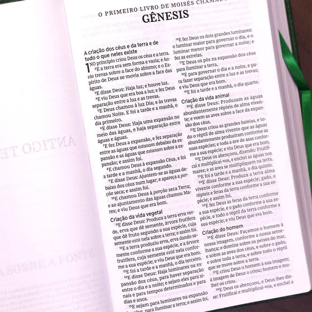 Bíblia Sagrada | ACF | Leitura Perfeita | Capa Couro Soft Verde