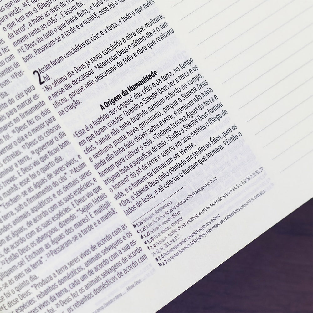Bíblia Anote | NVI | Letra Normal | Capa Luxo Preta Dourada