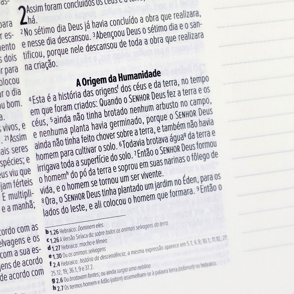 Bíblia Anote | NVI | Letra Normal | Capa Luxo Marrom