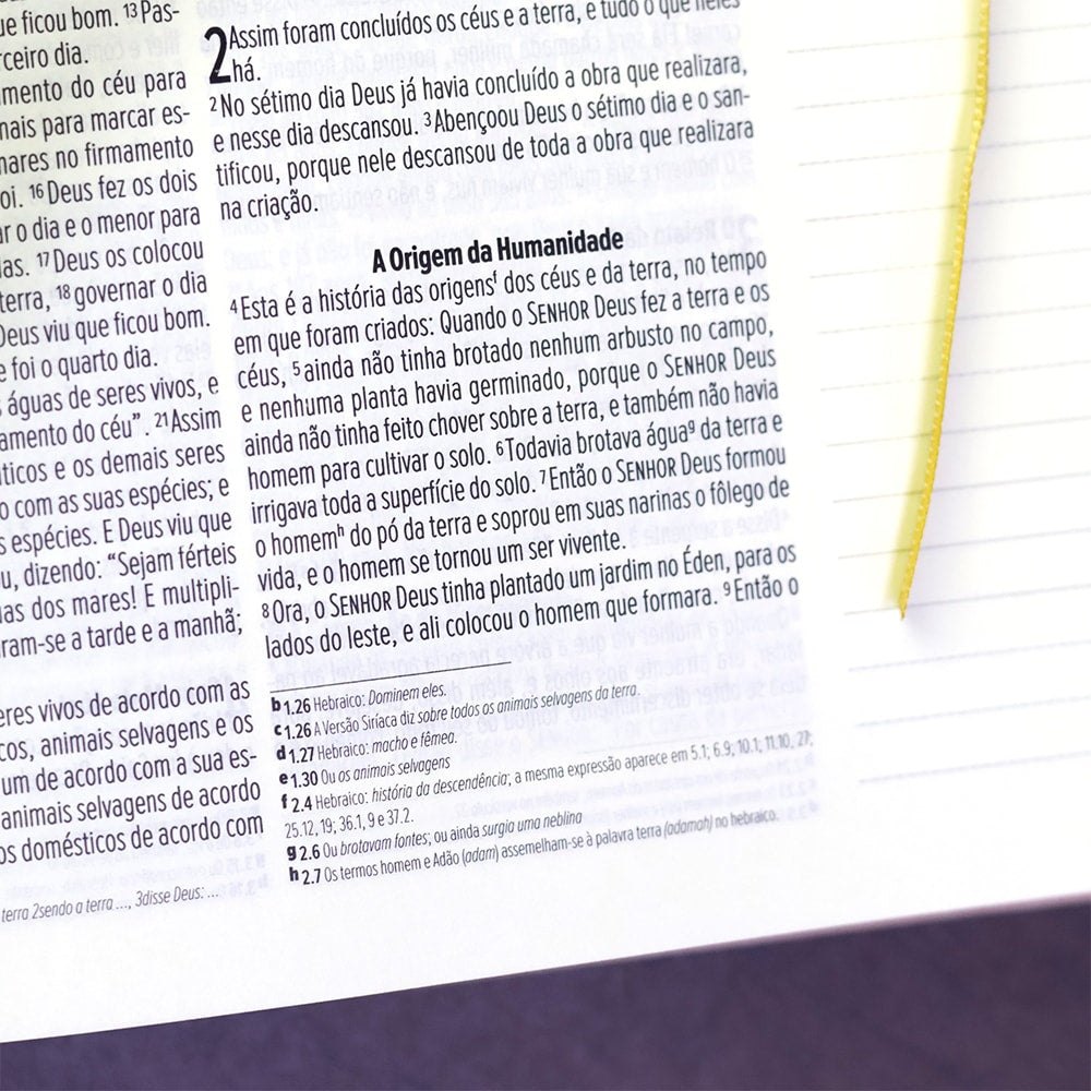 Bíblia Anote | NVI | Letra Normal | Capa Luxo Rosa