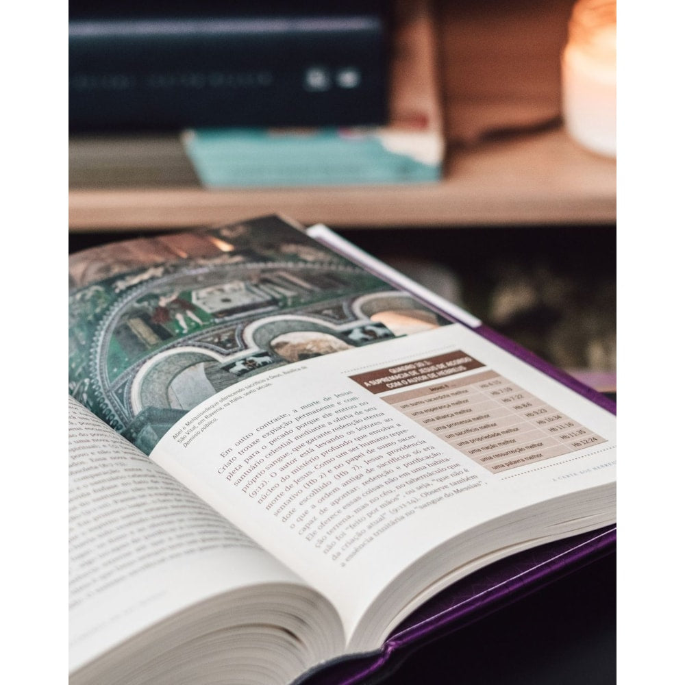 O Novo Testamento Em Seu Mundo | N T Wright e Michael F Bird