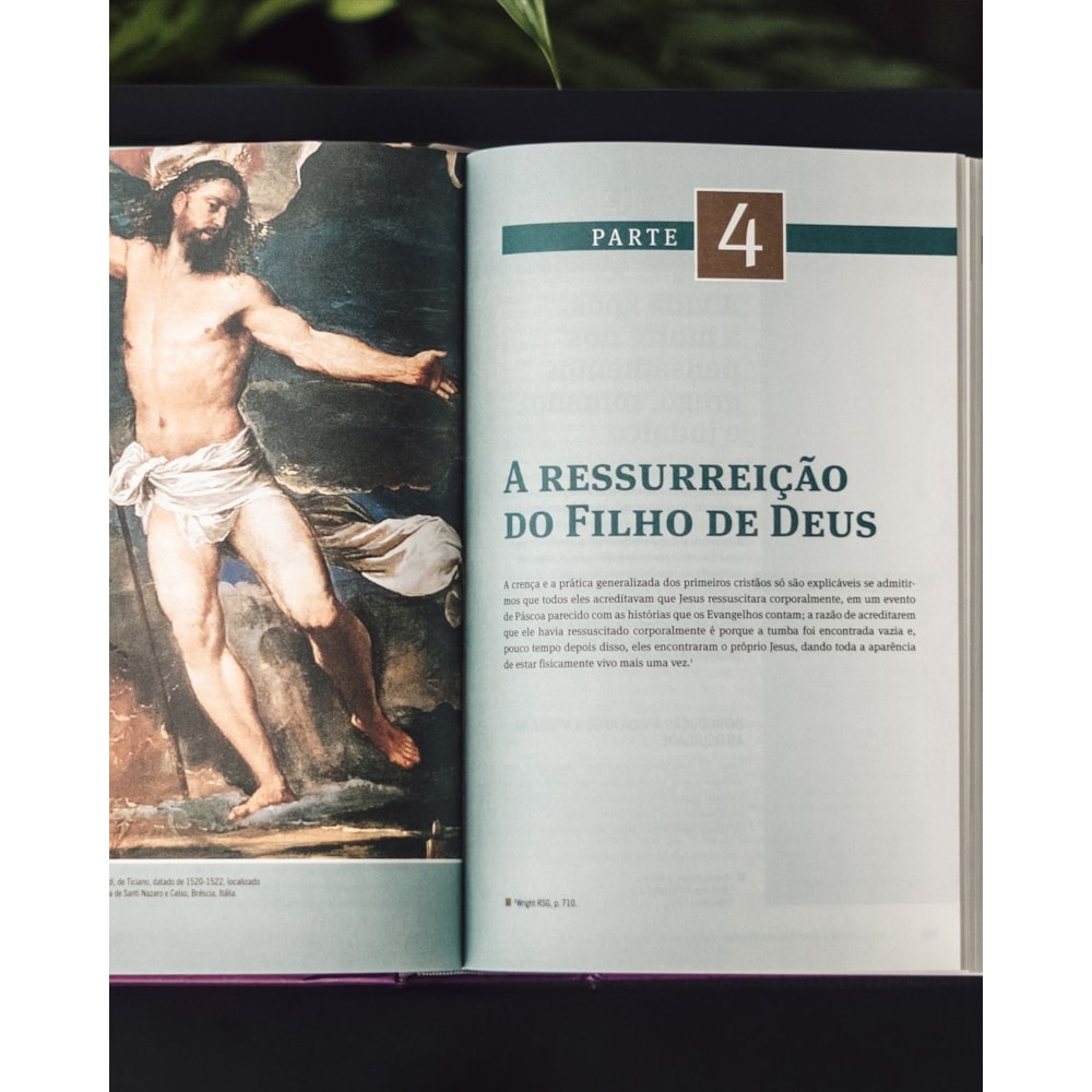 O Novo Testamento Em Seu Mundo | N T Wright e Michael F Bird