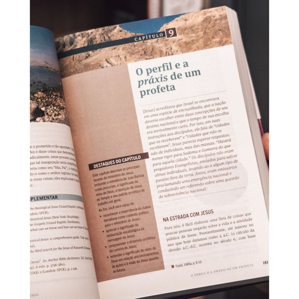 O Novo Testamento Em Seu Mundo | N T Wright e Michael F Bird