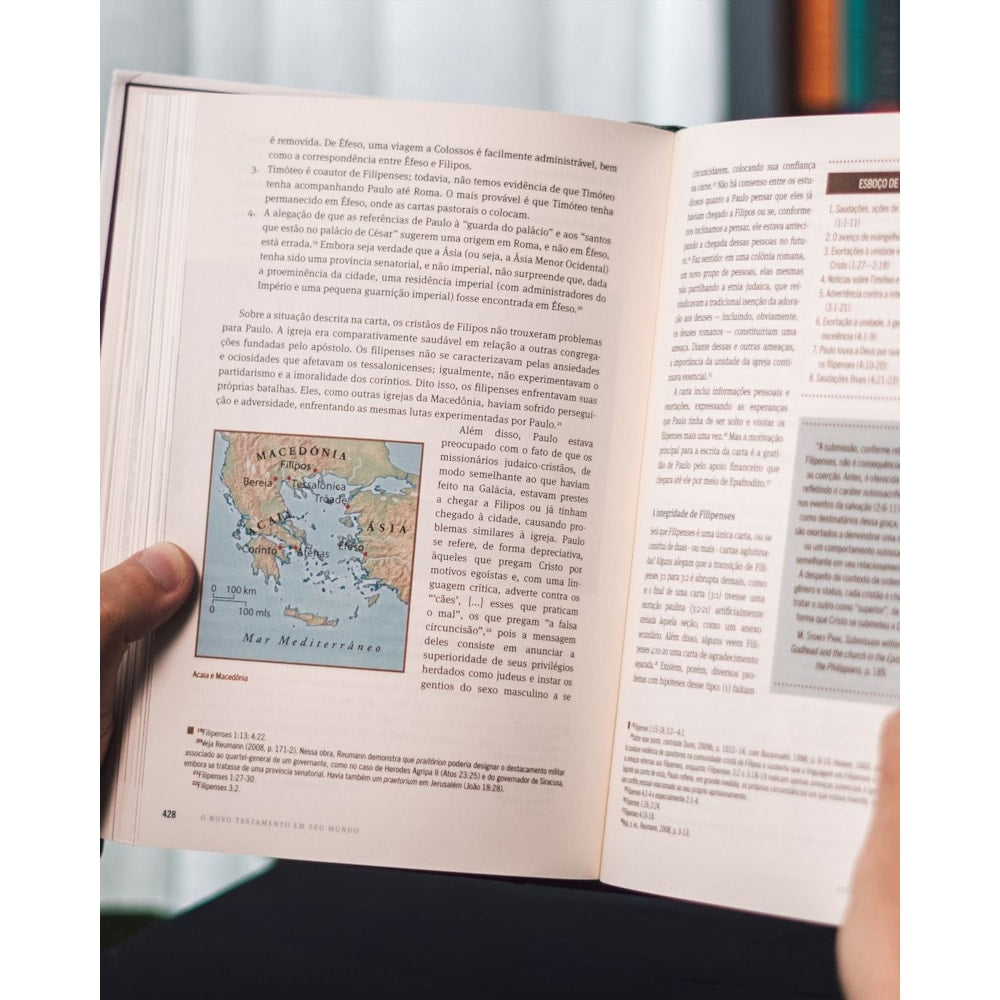 O Novo Testamento Em Seu Mundo | N T Wright e Michael F Bird