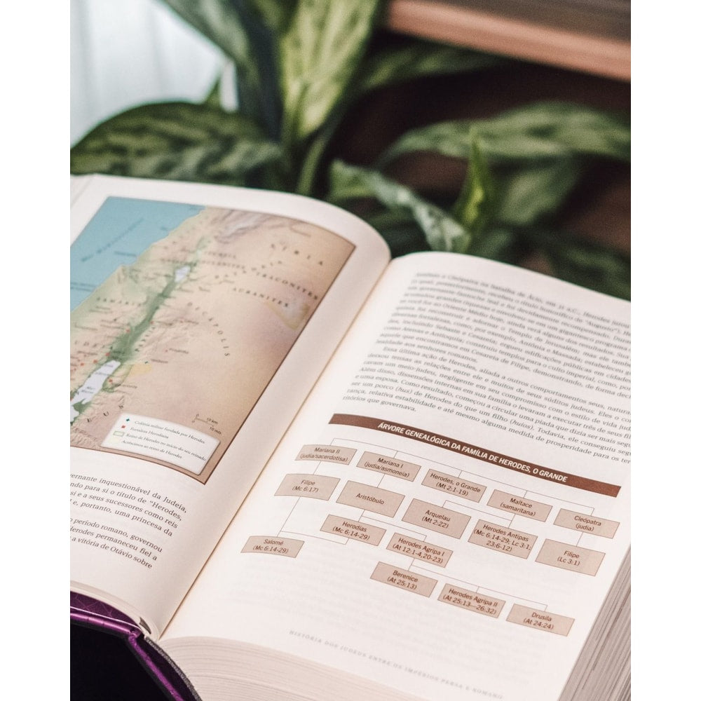 O Novo Testamento Em Seu Mundo | N T Wright e Michael F Bird