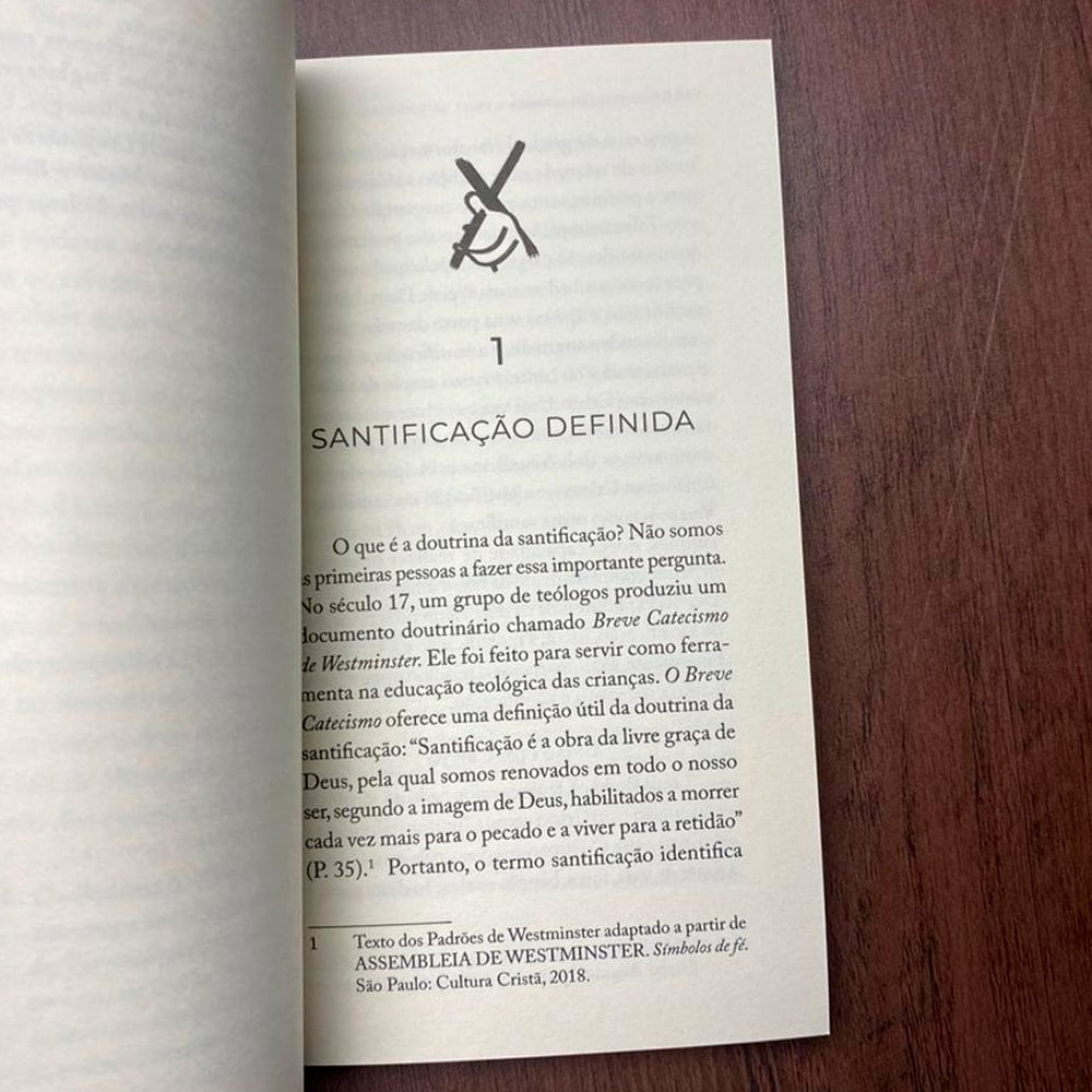 Tudo Que O Cristão Precisa Saber Sobre O | Santidade | J V Fesko