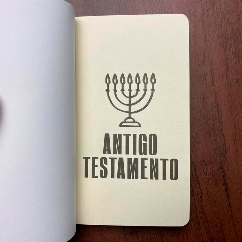 Tudo Que O Cristão Precisa Saber Sobre O | Antigo Testamento | J Alec Motyer