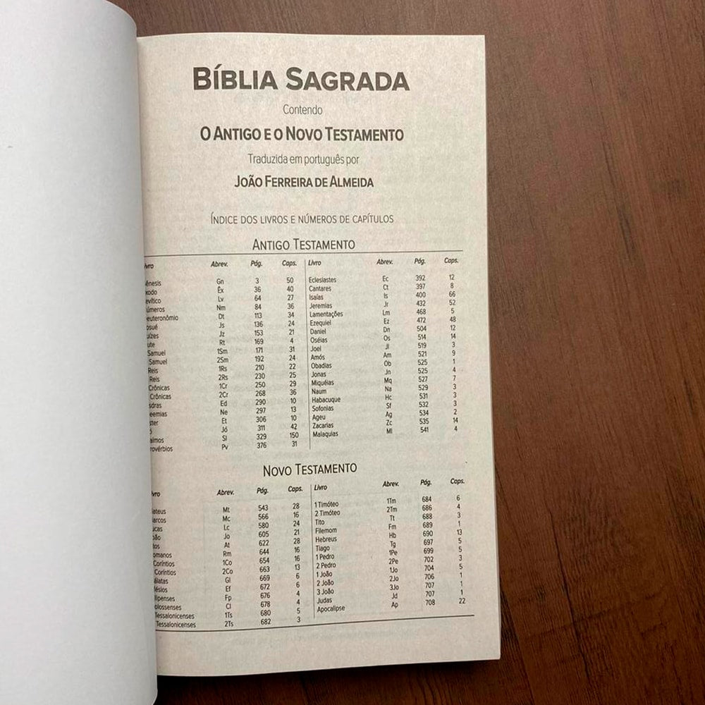 Bíblia Sagrada Cruz | ARC | Letra Normal | Capa Brochura