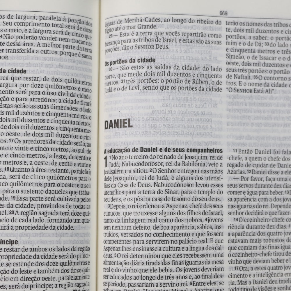 Biblia Flores Vermelhas | NAA | Letra Normal | Capa Dura